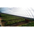 鑫华生态农业(在线咨询),白山温室,玻璃温室缩略图1