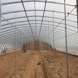 温室大棚-新日光伏科技可定做-农用温室大棚