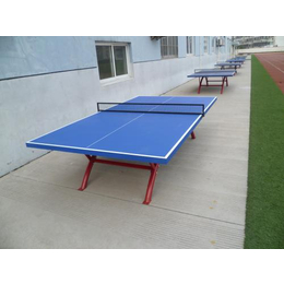 玻璃钢乒乓球台定制、征途体育公司、黄石乒乓球台