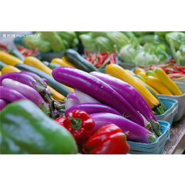 北郊蔬菜配送-西安蔬菜配送公司(在线咨询)-蔬菜配送
