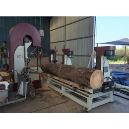 大型圆木制板锯木机 圆木开料锯木机出厂价提供