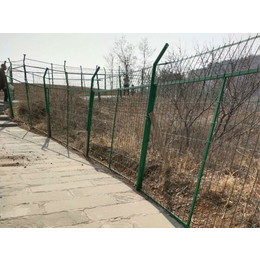 攀枝花防护网-双边丝护栏网-养殖防护网厂家