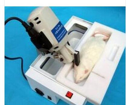 上海软隆 大鼠电动断头器