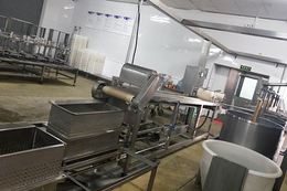 枣庄豆皮洗布机-震星豆制品机械设备-全自动豆皮洗布机