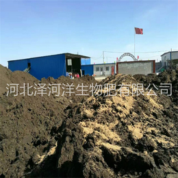 上海山药有机肥,泽河洋生物肥,山药有机肥厂家
