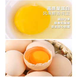 鸡蛋价格_金华鸡蛋_知硒堂-恩施天然食品(查看)