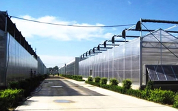 齐鑫温室园艺、阳光板温室大棚、阳光板温室大棚设备