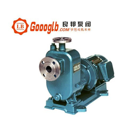 永嘉良邦ZCQ-65-50-145 型磁力驱动自吸泵