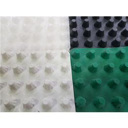 2厘米高塑料排水板-唐能-2厘米高塑料排水板多少钱