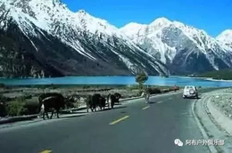 川西藏区包车-阿布自驾游之旅-川藏线包车注意事项