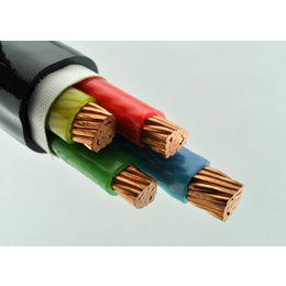 聚氯乙稀绝缘电力电缆哪家好,鸡西电力电缆,三阳线缆(查看)