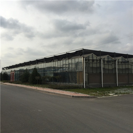 玻璃温室-合肥玻璃温室建设-淮南玻璃温室大棚