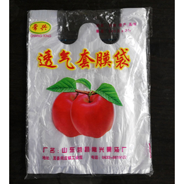 莒县常兴塑膜(图),塑膜苹果套袋批发,苹果套袋