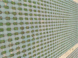 湛江草坪砖铺设-弘通建材-路面砖多少钱一平米
