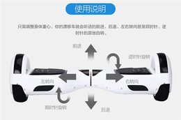 东莞市腾程五金科技(图)-电动扭扭车零售-电动扭扭车