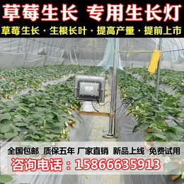 防城港植物灯_必然科技_植物灯价格