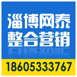 临淄网络推广、淄博如何做网络推广、淄博网泰科技(推荐商家)