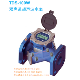 大连海峰TDS-100超声波双声道电子远传水表
