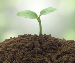土壤检测报价-中环物研环境质量监测(在线咨询)-土壤检测