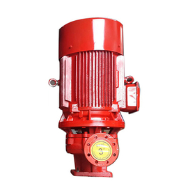 消防喷淋泵哪家好-蓝升泵业(在线咨询)-奎文区消防喷淋泵