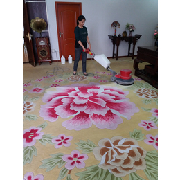 家庭地毯清洗、永秀清洁(在线咨询)、巴南区地毯清洗