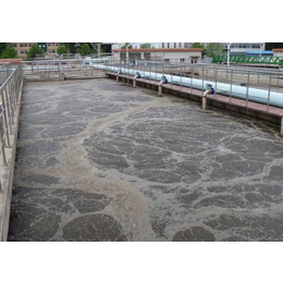 工业废水处理|工业废水处理厂家|山东宜净源(推荐商家)