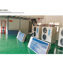 高温热泵腊肠烘干设备、能控自动化设备、儋州市烘干机厂家