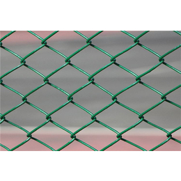 篮球场护栏网现货-篮球场护栏网-宏鸿丝网(图)