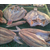 鱼干海味批发、梅州海味批发、海鲜干货批发缩略图1