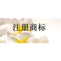 江西商标注册_商标注册_腾德财务咨询【*】(查看)