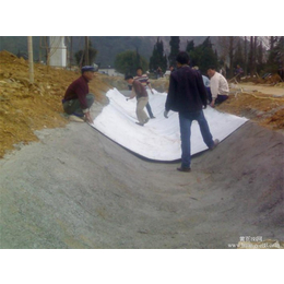 膨润土复合防水毯厂家,宏祥新材料,庆阳膨润土复合防水毯