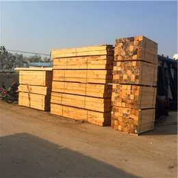 菏泽辐射松家具板材、辐射松家具板材厂家、中林木业(推荐商家)