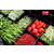 聊城生鲜超市加盟连锁生鲜超市如何做时时果蔬新鲜蔬菜优势货源缩略图2