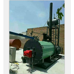 燃气导热油炉-艺能锅炉发货及时-燃气导热油炉供应商