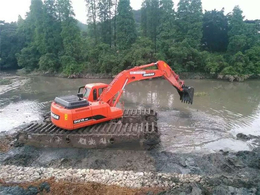 湿地挖掘机租赁价格-民强水陆挖掘机-成都湿地挖掘机