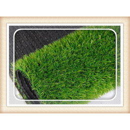 大兴安岭好的环保绿化草坪地毯庭院草坪生产工艺