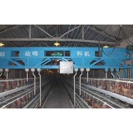 养鸡设备价格_良丰畜牧(在线咨询)_北京养鸡设备