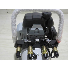 液压机动泵生产厂家|雷沃科技|液压机动泵