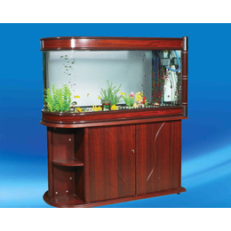 山西海之星水族公司(图)|鱼缸价格|晋城鱼缸