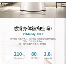 油雾净化器-净化器-OKdaddy暖爸爸(查看)