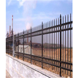 晟卿丝网(图)、锌钢围墙防护网厂家安装、锌钢围墙防护网