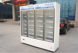 药品冷藏柜-达硕冷冻设备生产-药品冷藏柜品牌