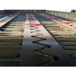 z80型桥梁伸缩缝图片|瑞诚工程橡胶|桥梁伸缩缝