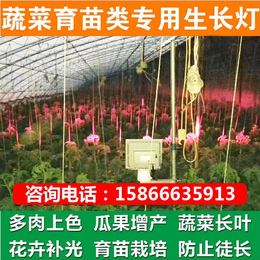 led植物灯生长灯|衢州植物灯|植物生长灯代理(查看)