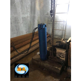 耐温100度水温热水深井潜水泵-天津潜成泵业企业品牌