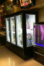 渭南鲜花展示柜-达硕制冷设备生产-鲜花展示柜定做