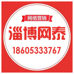 淄博网泰科技(图)|张店网络公司 有实力|张店网络公司