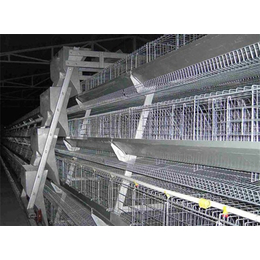 阶梯式蛋鸡笼子,滨州鸡笼子,运盈机械鸡笼厂家(查看)