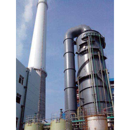 哈尔滨燃气锅炉脱硫|泰山行星环保科技(图)|燃气锅炉脱硫厂家
