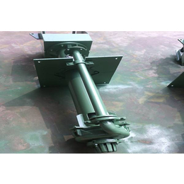 江苏SP型立式扫地泵-SP型立式扫地泵定制-祁龙工业泵